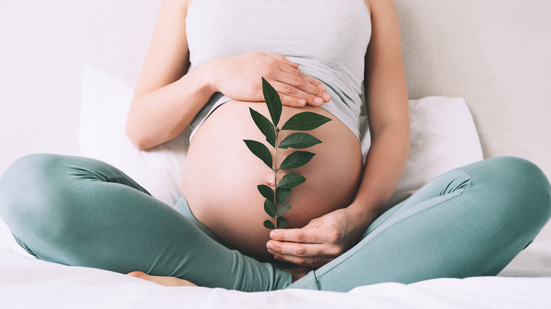 When Should Pregnant DHA Be Supplemented? What Is The Effect?